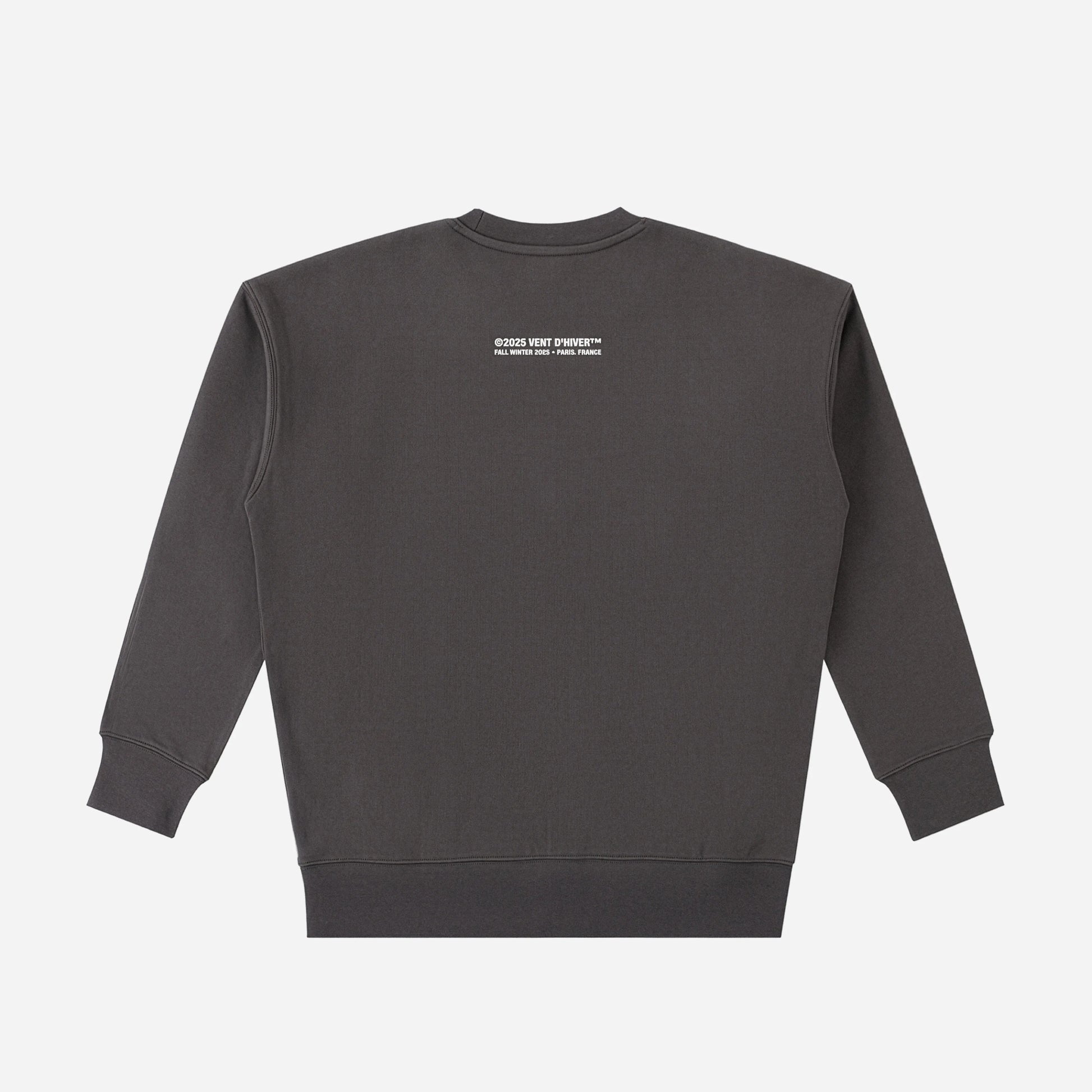 Dark gray sweatshirt with a small white logo on the back against a light gray background